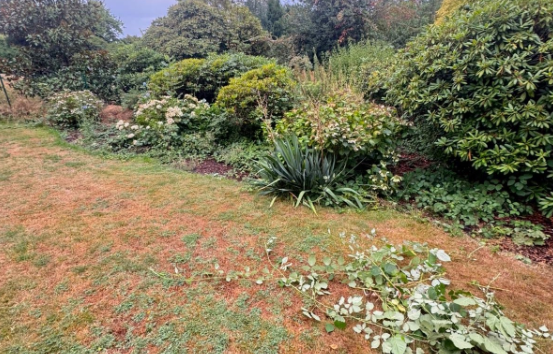 Garten vor den Pflegearbeiten